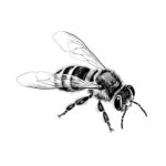 Bee Icon